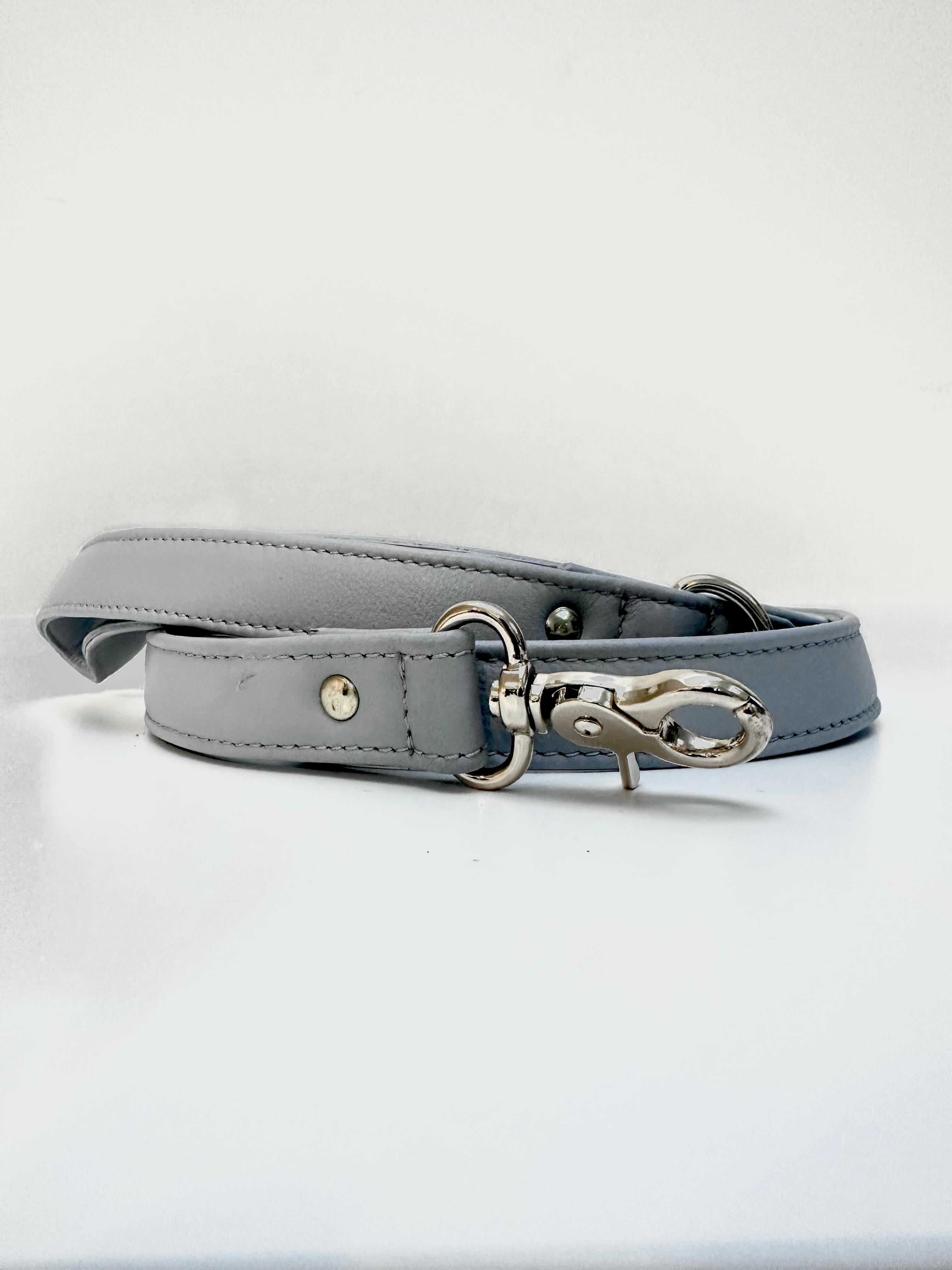 Leather Leashes/Leads